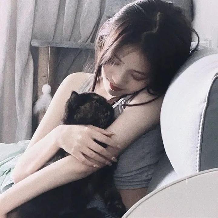 小说王